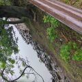 IMG_20260527_133733_040.jpg