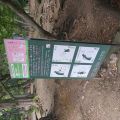 IMG_20260527_160243_866.jpg