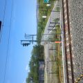IMG_20260529_130623_343.jpg