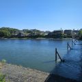 IMG_20260529_154013_017.jpg