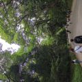IMG_20260602_110455_864.jpg