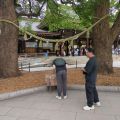 IMG_20260602_112904_606.jpg