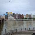 IMG_20260604_082832_253.jpg