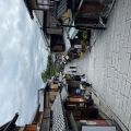 IMG_3853.HEIC