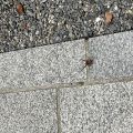 IMG_3855.HEIC