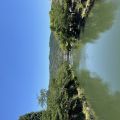 IMG_3907.HEIC