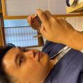 IMG_3928.HEIC