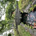 IMG_4096.HEIC