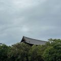 IMG_4790.HEIC