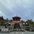 IMG_4828.HEIC