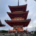 IMG_4829.HEIC