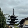IMG_4867.HEIC
