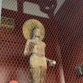 IMG_5081.HEIC