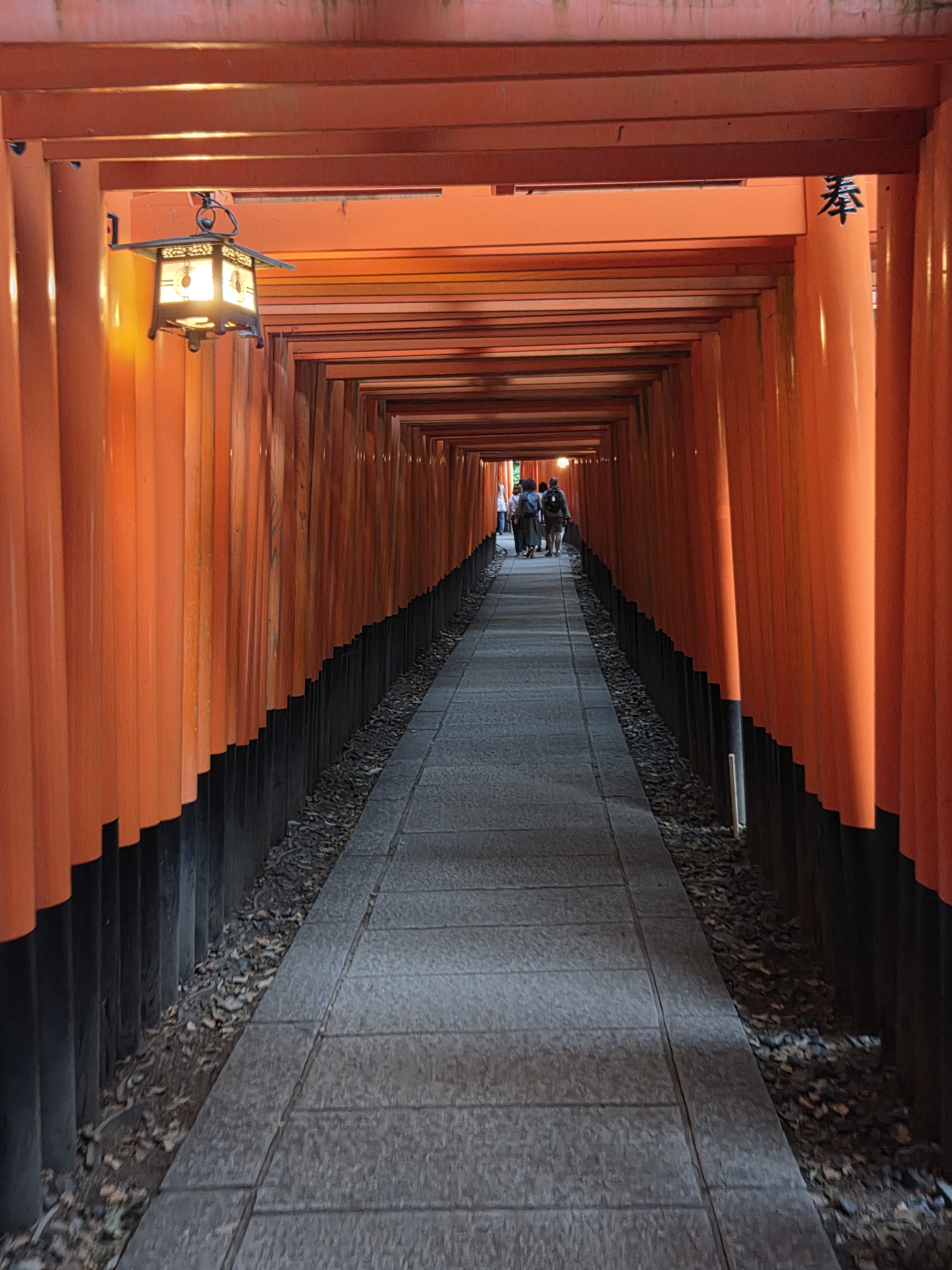 Torii gates at Fushimi Inari Shrine in Kyoto